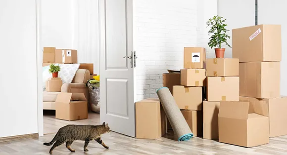 Apartment Moving Services for Easy, Fast, and Affordable Relocation