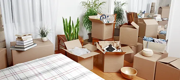 Packing and Unpacking Services for Efficient, Secure, and Hassle-Free Relocation